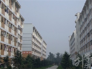 肇州縣職業教育中心學校